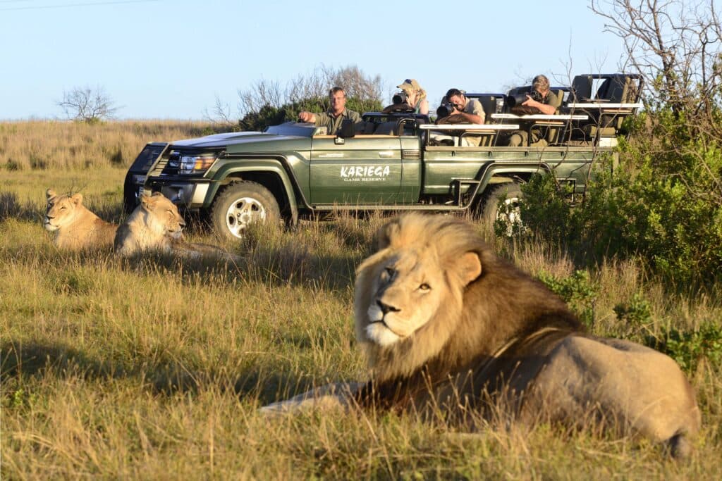 African safari landscape — Artisans of Safari bespoke journeys