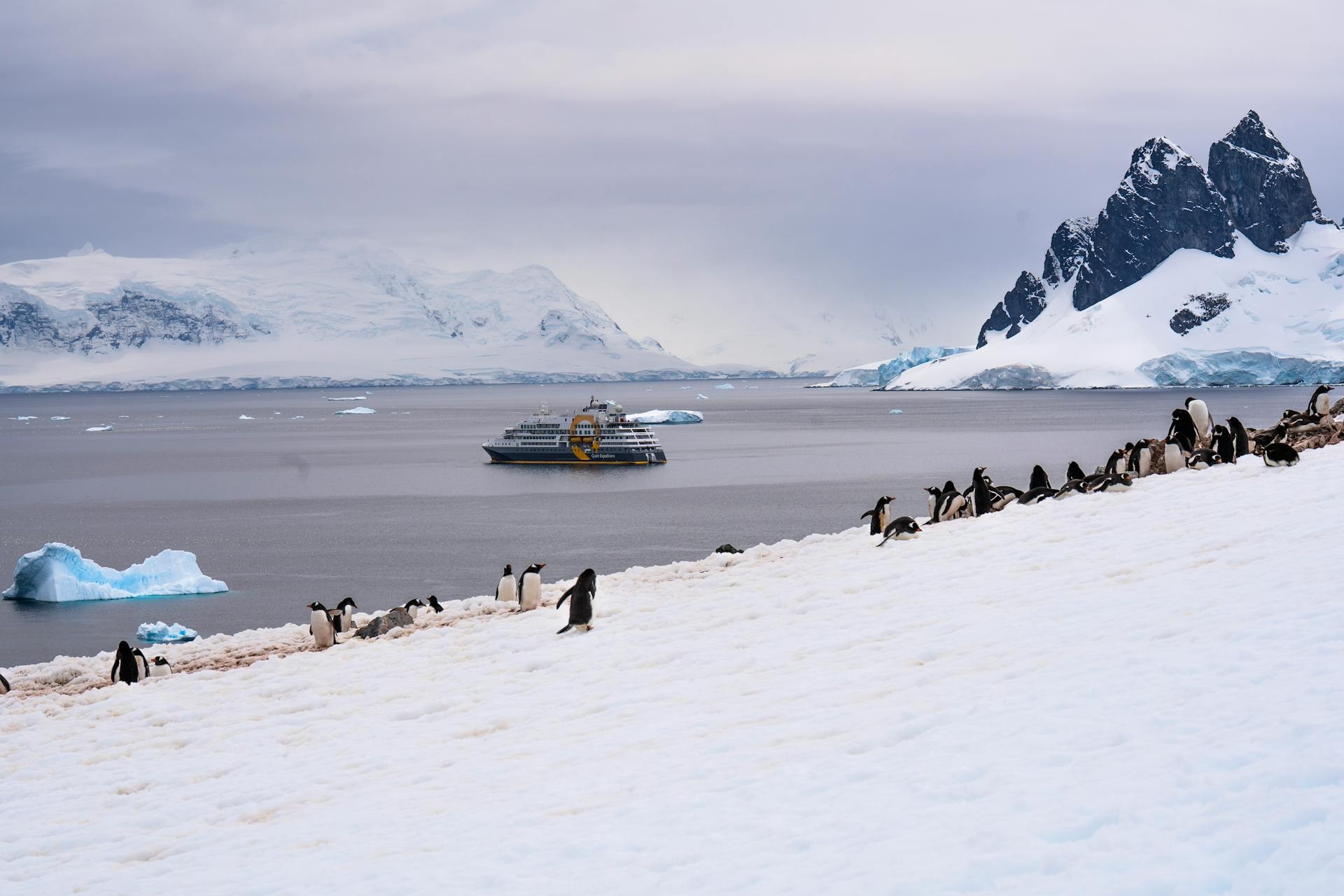A small expedition vessel cruising past tabular icebergs in the Antarctic Peninsula with gentoo penguins on a foreground floe