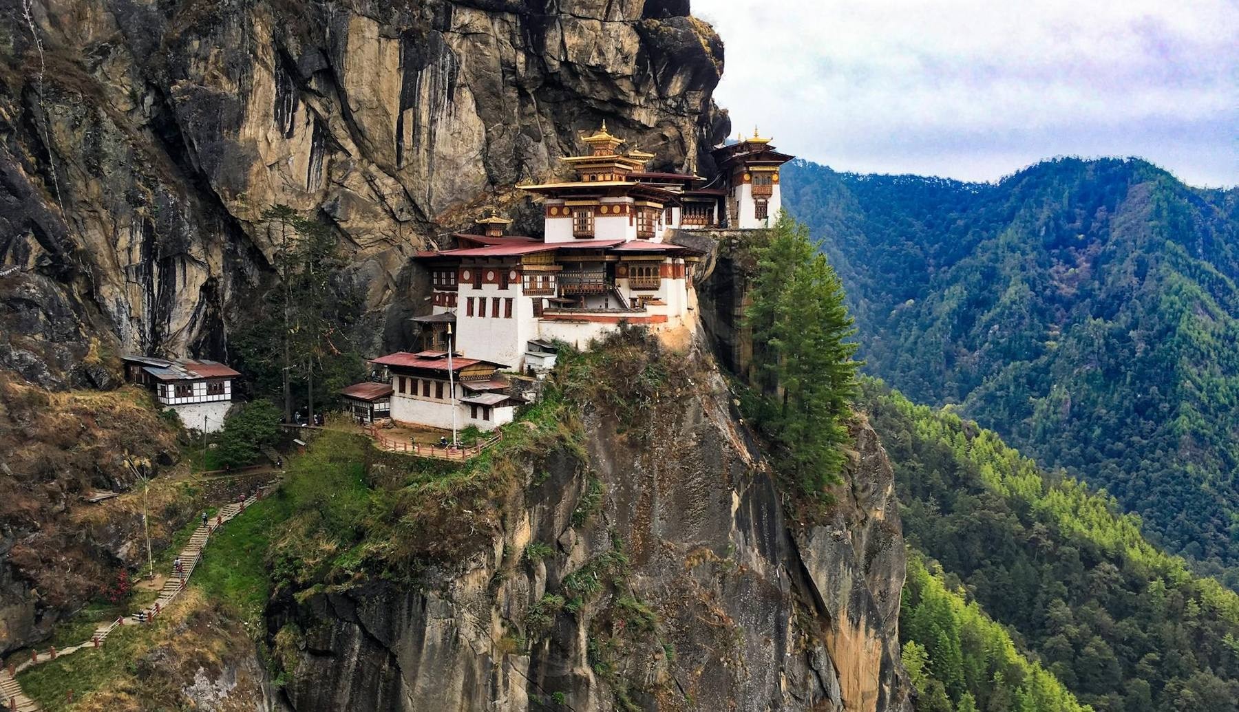Paro Taktsang (Tiger's Nest) monastery clinging to a cliff face above the forested Paro valley with prayer flags in the foreground
