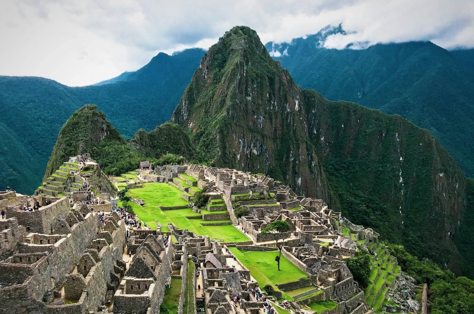 Llama overlooking the Inca ruins of Machu Picchu with Huayna Picchu mountain in the background