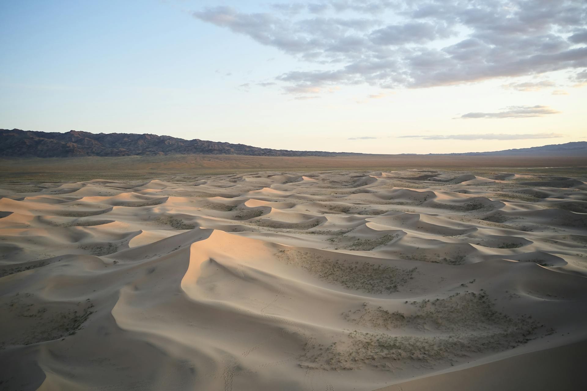 Khongoryn Els sand dunes in Mongolia's South Gobi rising above the Gobi steppe with a ger camp in the foreground