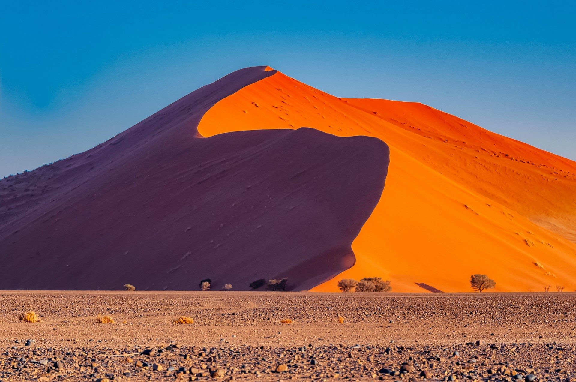 Red dunes of Sossusvlei at dawn with a lone camelthorn tree, paired with elephants and oryx gathered at a floodlit Etosha waterhole