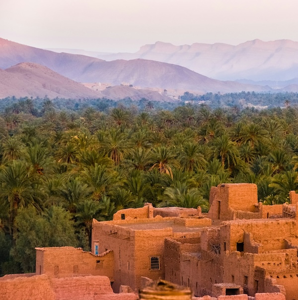Traveler visiting Morocco prepared with a Wandr Health checklist
